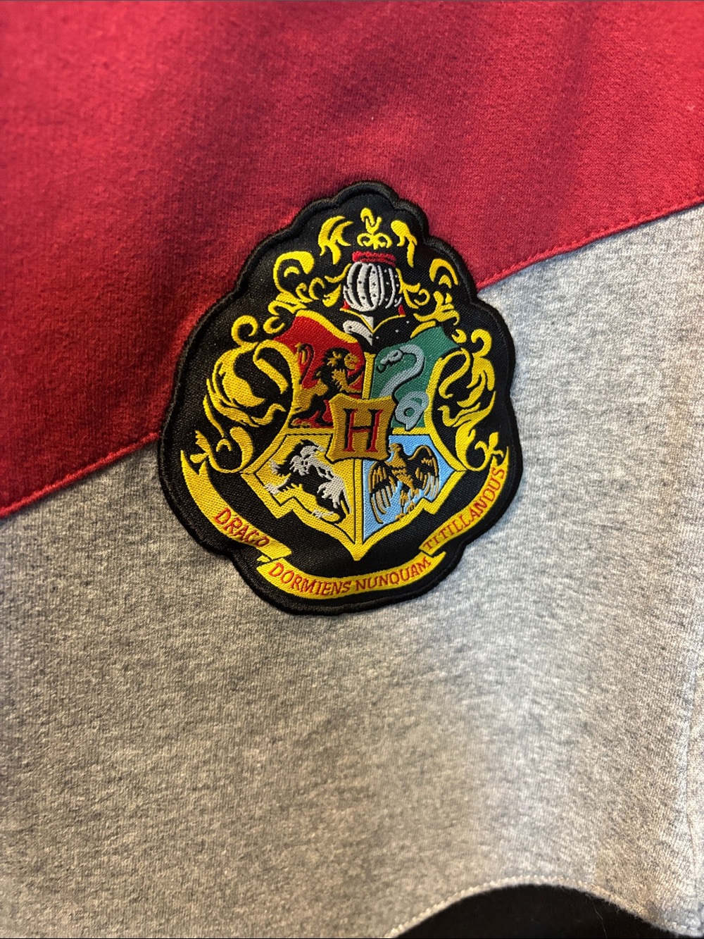 Wizarding World of Harry Potter Full Zip Hogwarts Hoodie - Picture 4 of 7
